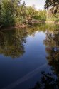 CRW_0598.jpg