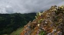 DSC_3642.jpg