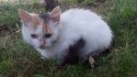 IMG_20180924_172253.jpg