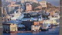 DSC07250-2.jpg
