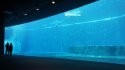 DSC07239.JPG