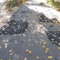 20181013_103210.jpg