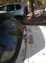 IMG_20181017_131949.jpg