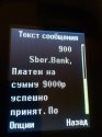 IMG_20181116_120358.jpg