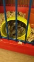 IMG_2018-12-09_155436.jpg