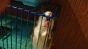 IMG_2018-12-16_100825.jpg