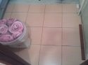 IMG_20190129_182946.jpg