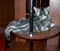 DSCN4175.jpg