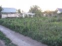 IMG_34221.jpg