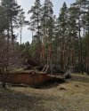 IMG_20190412_113221_046.jpg