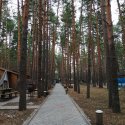 IMG_20190410_110246_799.jpg