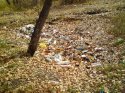 DSC00020.JPG