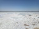 IMG_20190622_160137.jpg