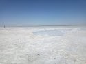 IMG_20190622_160158.jpg