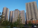 20190703_025249.jpg