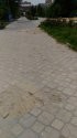 P_20190710_152420.jpg