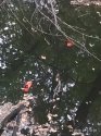 IMG_20190827_193200.jpg