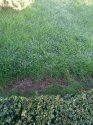 IMG_20190925_074312.jpg