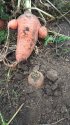 IMG_20191006_094727.jpg
