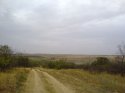 DSC00613.jpg