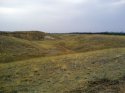 DSC00619.jpg