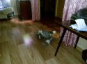 IMG_20191109_215805.jpg