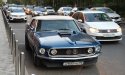 mustang.jpg