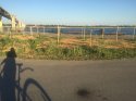 1071EE7D-B30D-4275-8BD9-4A3B8E28B8DF.jpeg