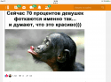 IMG_4132.PNG