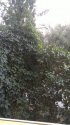 кухня вид из окна.jpg
