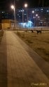 P_20200317_222805_LL_p.jpg