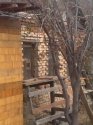 IMG0681A.jpg