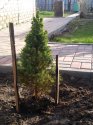 IMG_20200330_082648.jpg
