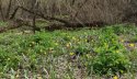 IMG_20200418_170522_233.jpg