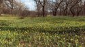 IMG_20200418_170549_960.jpg