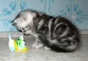 DSCN4549.jpg