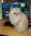 IMG_20200130_143605.jpg