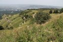 IMG_6374.jpg