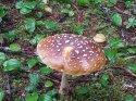 IMG-20200717-WA0024.jpg