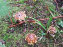 IMG-20200717-WA0027.jpg
