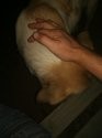 IMG_20200811_213206.jpg