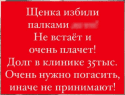 Скриншот 04-09-2020 163610.png