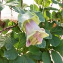 IMG_20200923_220114.jpg