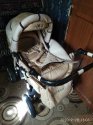 IMG_20200928_130301.jpg