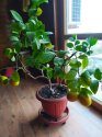 IMG_20201011_180846.jpg