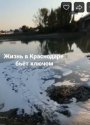 кубань1.jpg
