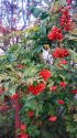 IMG_20201018_174440.jpg