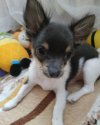 IMG_20201029_120722_308.jpg