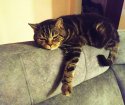 IMG_20201028_231756_949.jpg