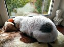 IMG_20201013_115130.jpg
